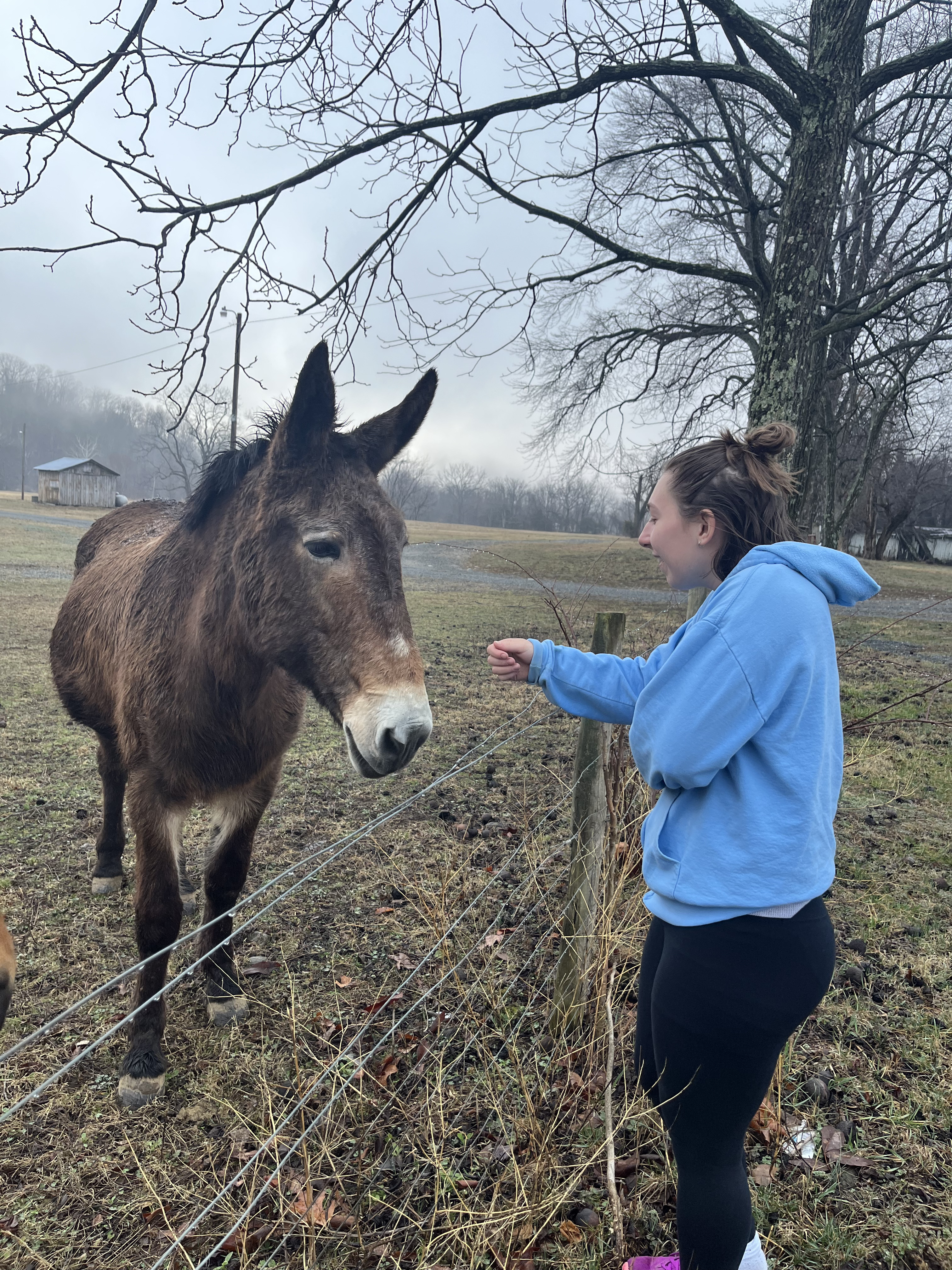 Lilly with a donkey